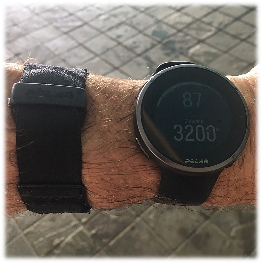 Accurate Heart Rate in Swimming – IHF Products cc - Polar in SA